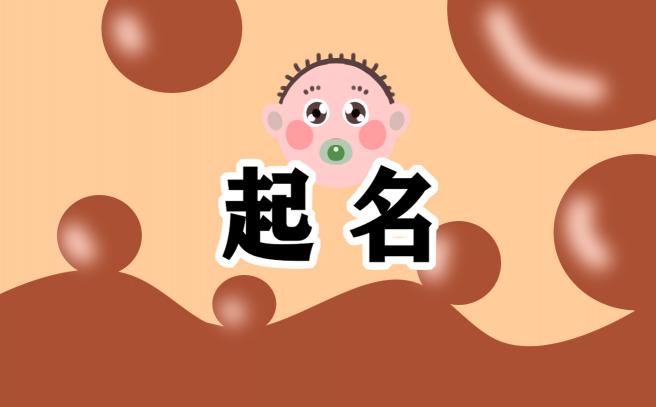 创意数码公司名字起名