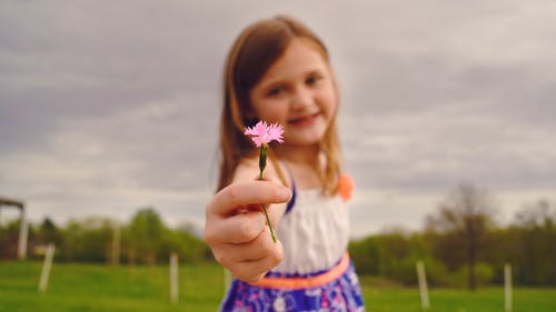 姓赵女孩好听名字大全集属虎-赵曼琪:姓名打分测试