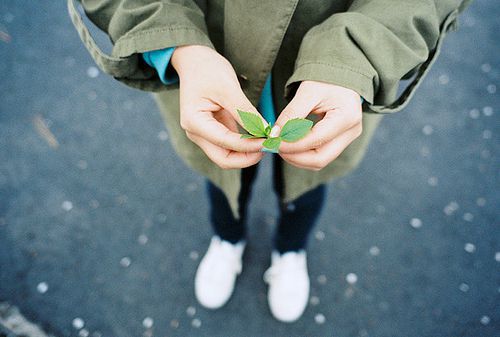 程姓女孩名字打分测试_程美君八字姓名测试