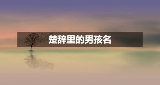 想要给宝宝取有内涵的名字？看看楚辞里这些男孩名！