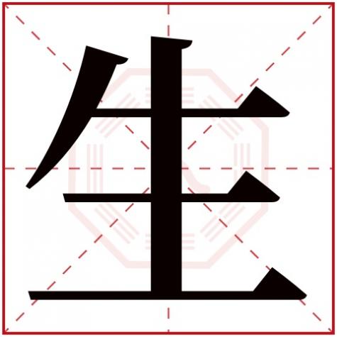 物字五行属什么，生字五行属什么