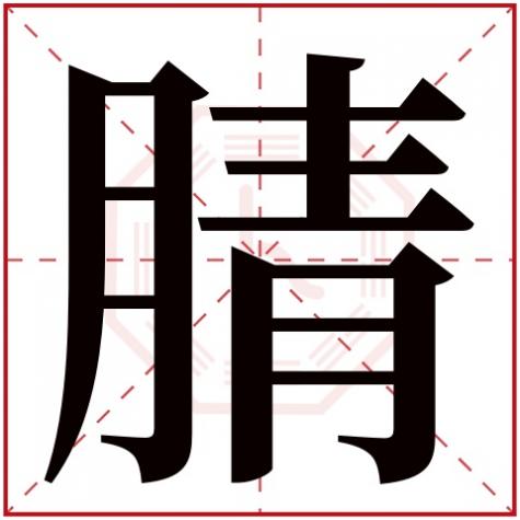 睫属于五行属什么，腈字五行属什么