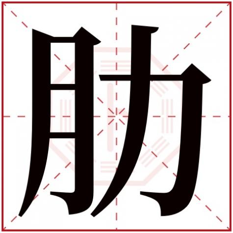 肋这字怎么读，肋字五行属什么