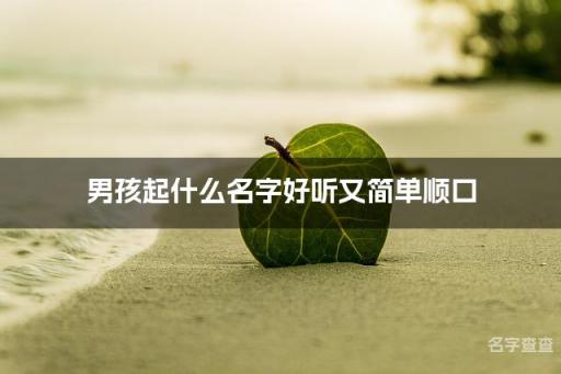 男孩起什么名字好听又简单顺口